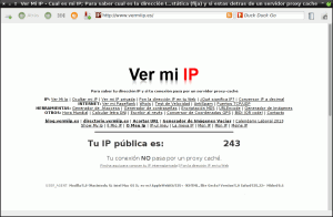 IP Pública con tsocks