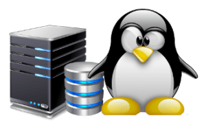 ¿Qué Son Los Repositorios En Linux? ¿Qué Ventajas Proporcionan?