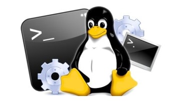Formas para obtener ayuda en GNU Linux