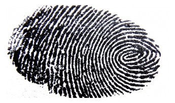 Que es y para que sirve el fingerprint de un servidor SSH