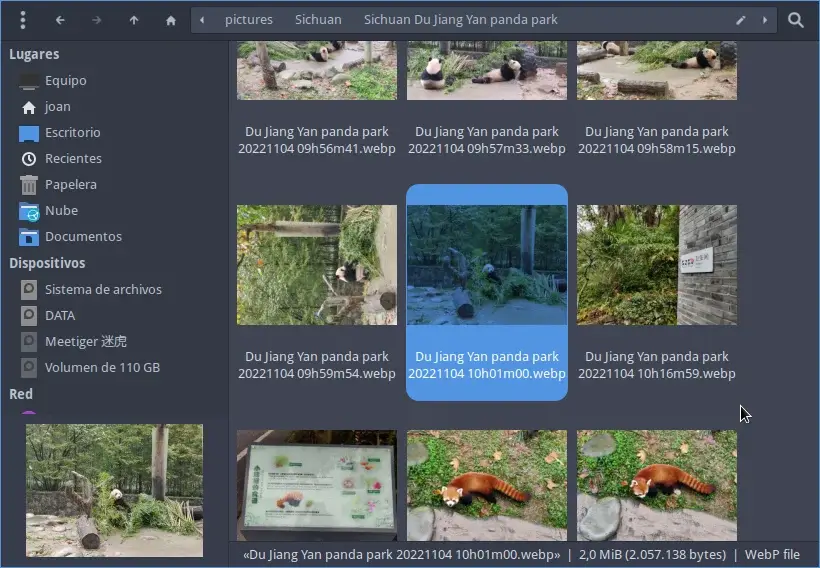 Thunar mostrando miniaturas de imágenes webp