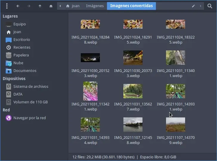 Imágenes en miniatura de archivos de imagen con formato webp
